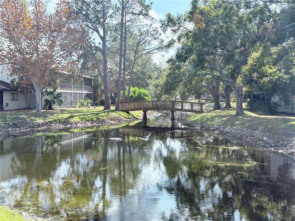 Activo con contrato: $349,900 (3 camas, 2 baños, 1431 Pies cuadrados)