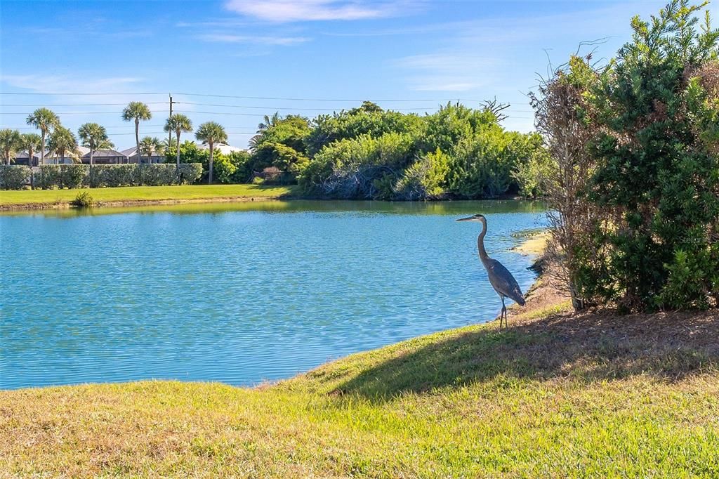 待售: $600,000 (2 贝兹, 2 浴室, 1682 平方英尺)