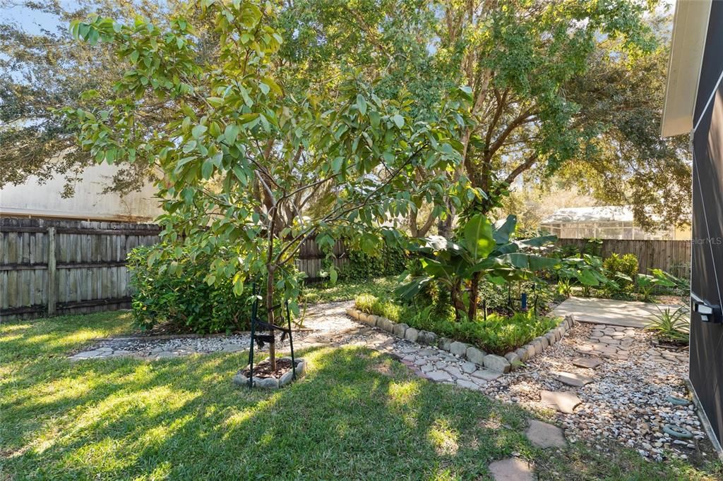 Activo con contrato: $425,000 (3 camas, 2 baños, 1553 Pies cuadrados)