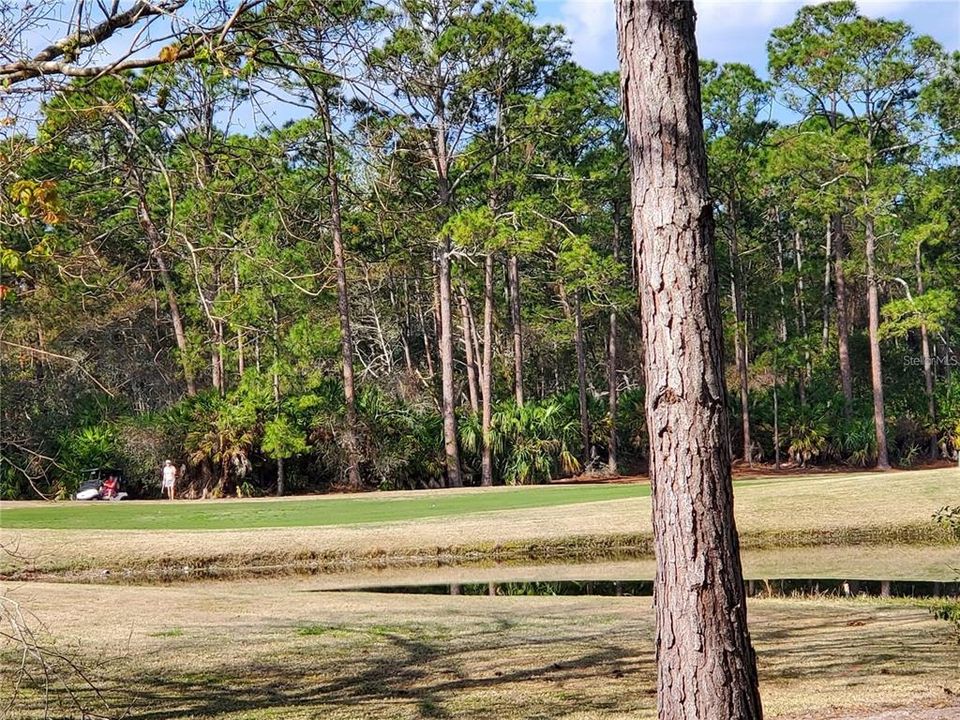 待售: $219,900 (0.58 acres)