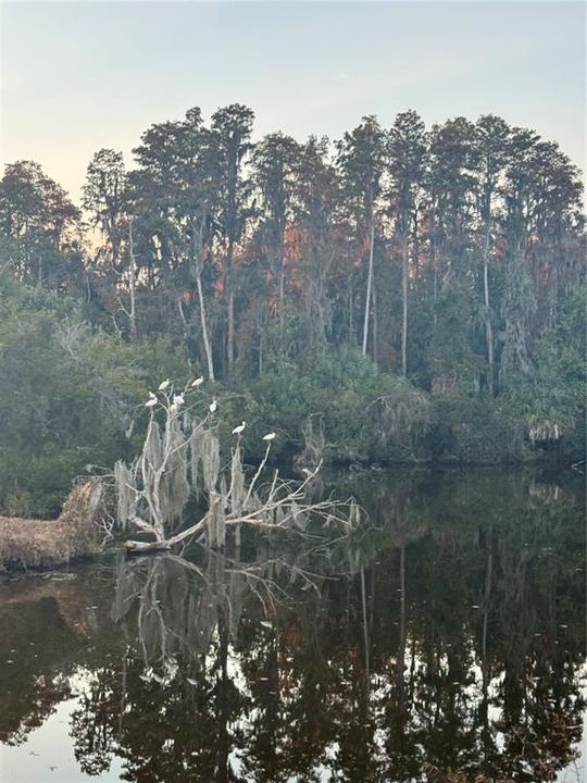 For Sale: $169,900 (2 beds, 2 baths, 1015 Square Feet)