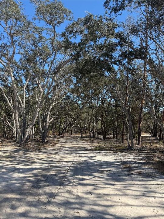 For Sale: $899,999 (4 beds, 3 baths, 2254 Square Feet)