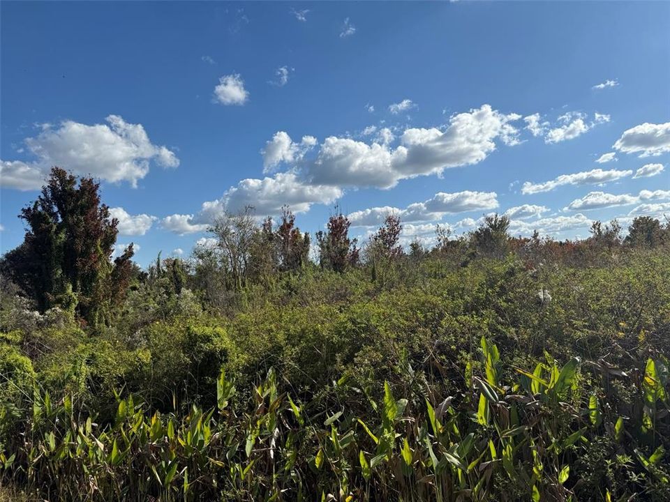 合同活跃: $59,900 (3.75 acres)