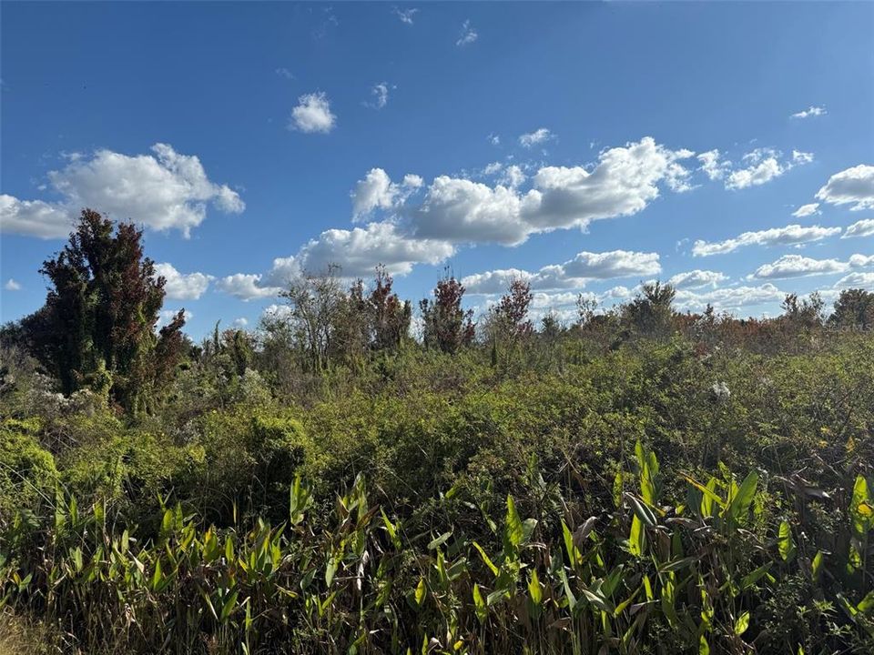 合同活跃: $59,900 (3.75 acres)