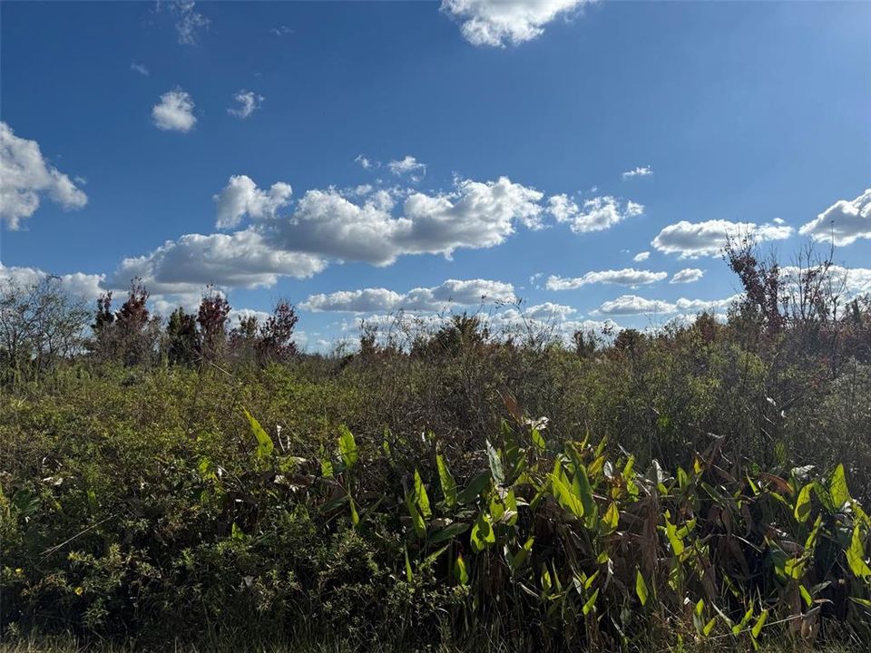 合同活跃: $59,900 (3.75 acres)