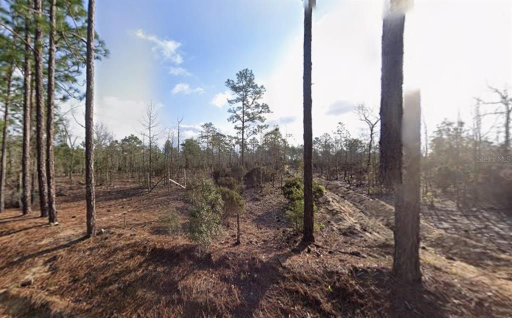 На продажу: $8,500 (0.24 acres)