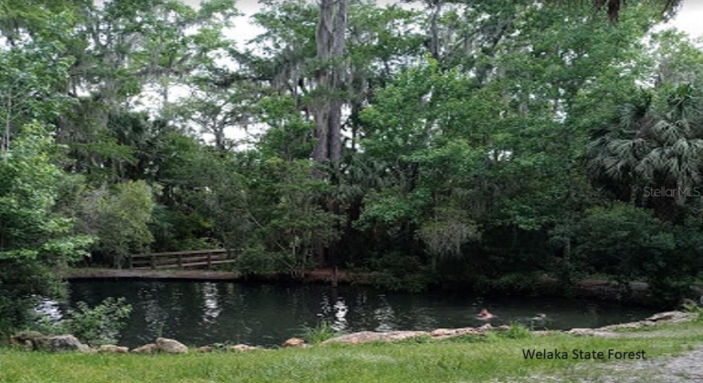 На продажу: $6,900 (0.23 acres)