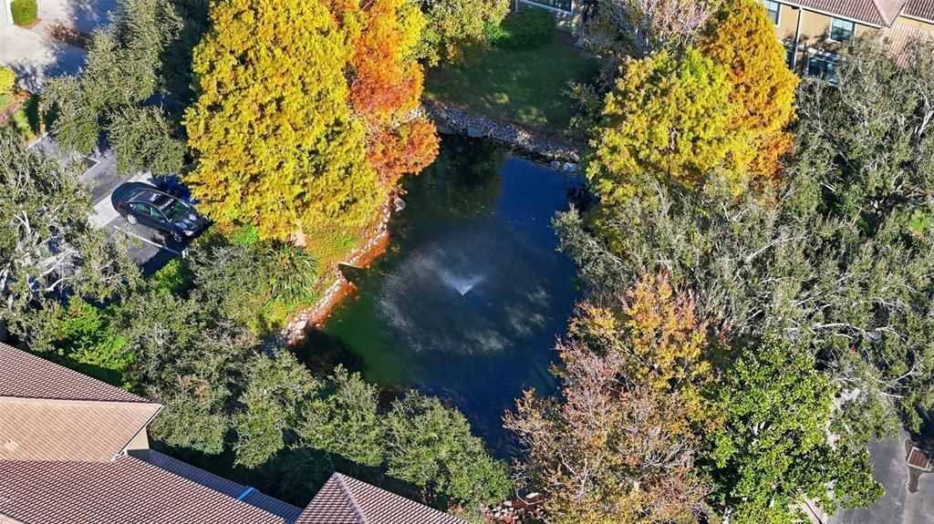 For Sale: $499,900 (3 beds, 3 baths, 2215 Square Feet)