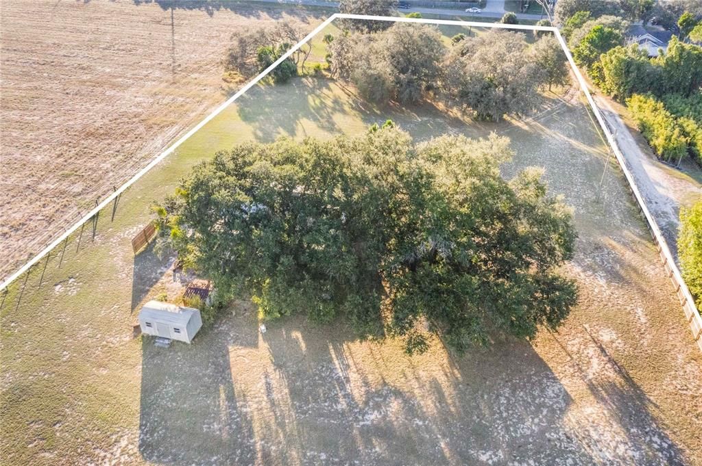 For Sale: $300,000 (3 beds, 1 baths, 956 Square Feet)