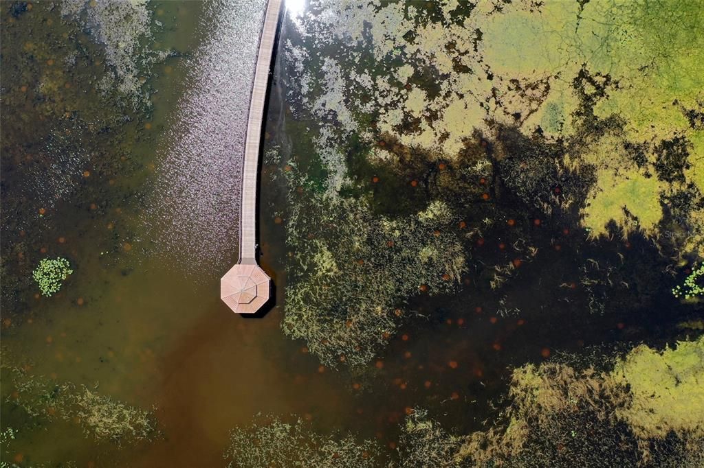 For Sale: $569,000 (4 beds, 3 baths, 2727 Square Feet)