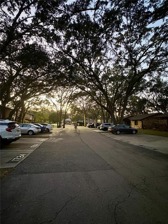 На продажу: $189,999 (2 спален, 2 ванн, 938 Квадратных фут)