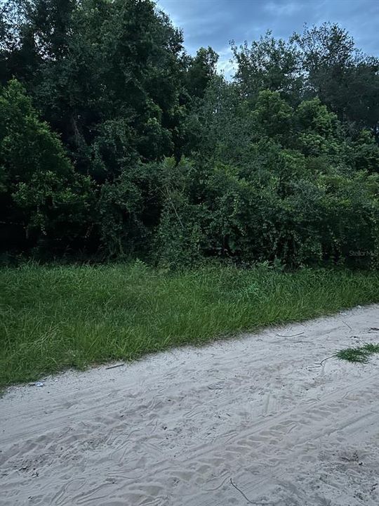 For Sale: $7,900 (0.19 acres)