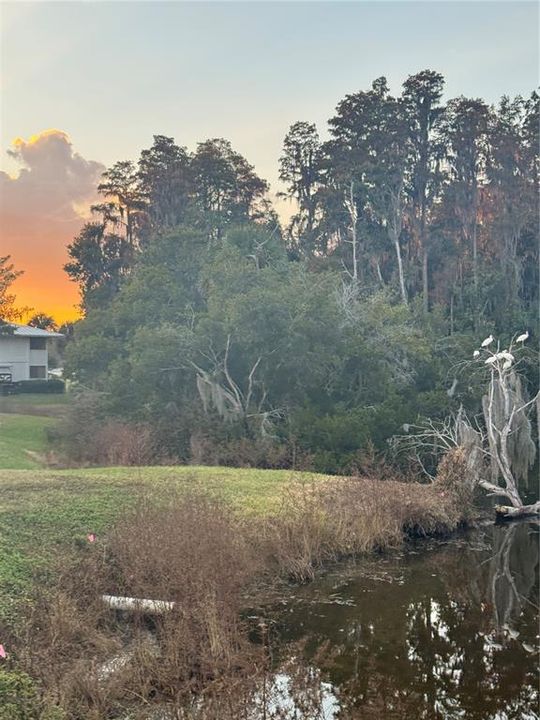 En Venta: $169,900 (2 camas, 2 baños, 1015 Pies cuadrados)