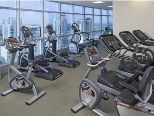 出租: $9,000 (3 贝兹, 3 浴室, 2895 平方英尺)