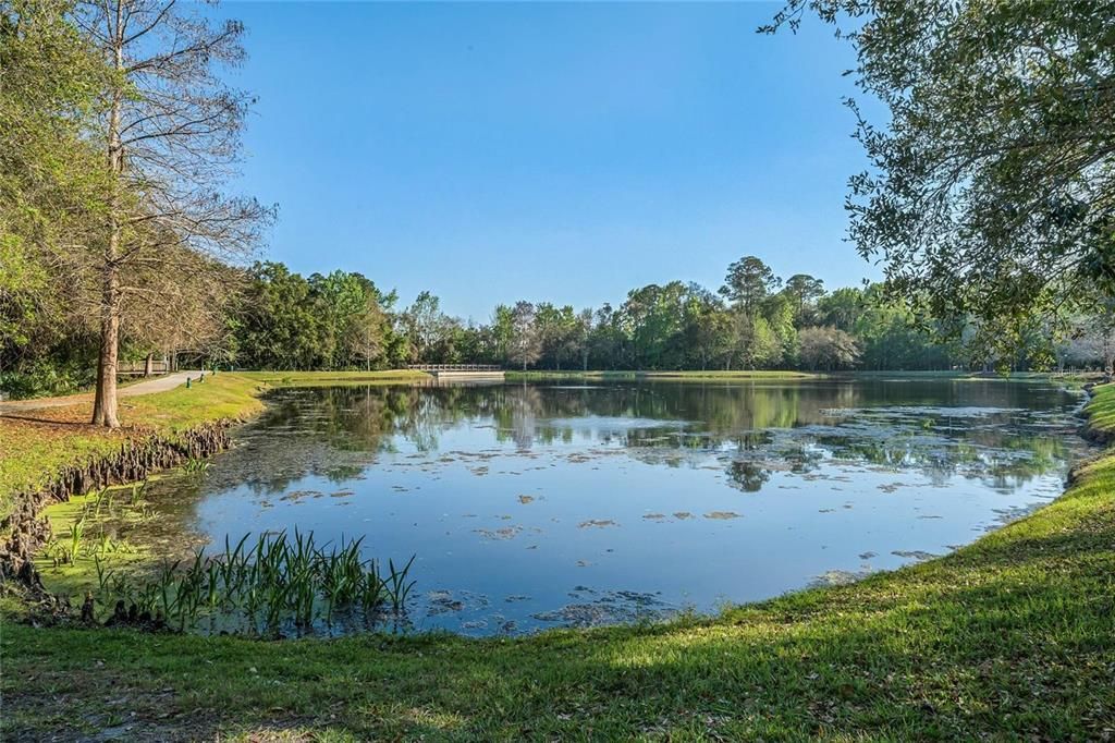 В аренду: $6,500 (5 спален, 3 ванн, 3699 Квадратных фут)