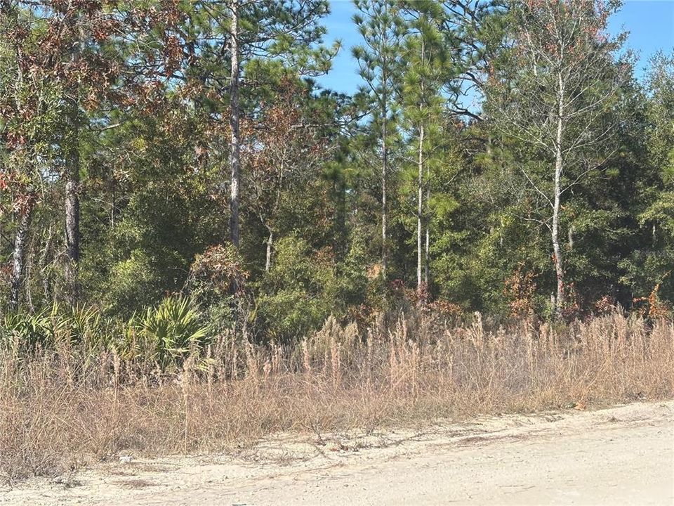 待售: $36,000 (1.34 acres)