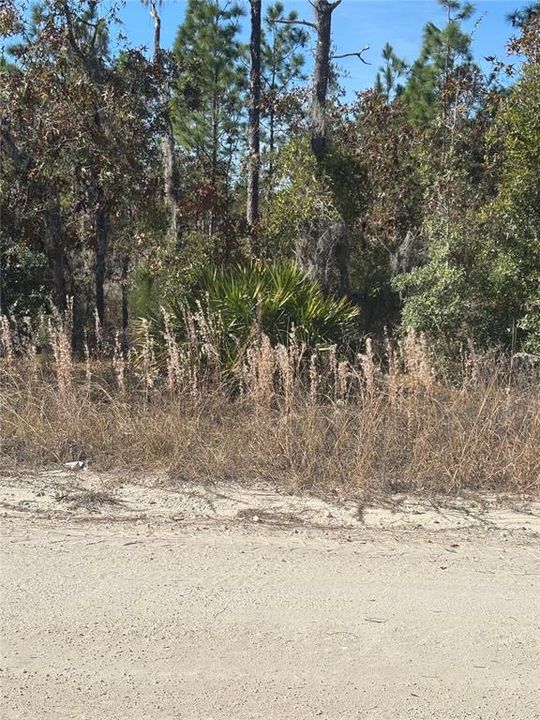 待售: $36,000 (1.34 acres)