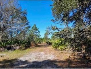 На продажу: $150,000 (1.29 acres)