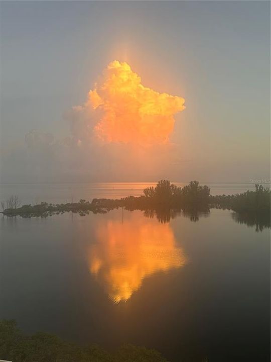 En Renta: $1,800 (1 camas, 1 baños, 733 Pies cuadrados)