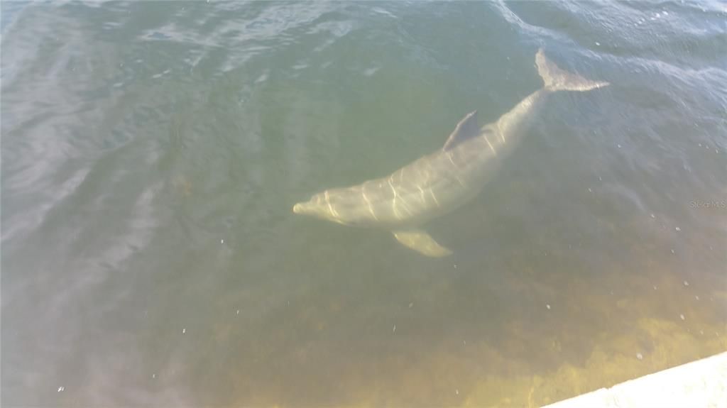 En Renta: $1,800 (1 camas, 1 baños, 733 Pies cuadrados)