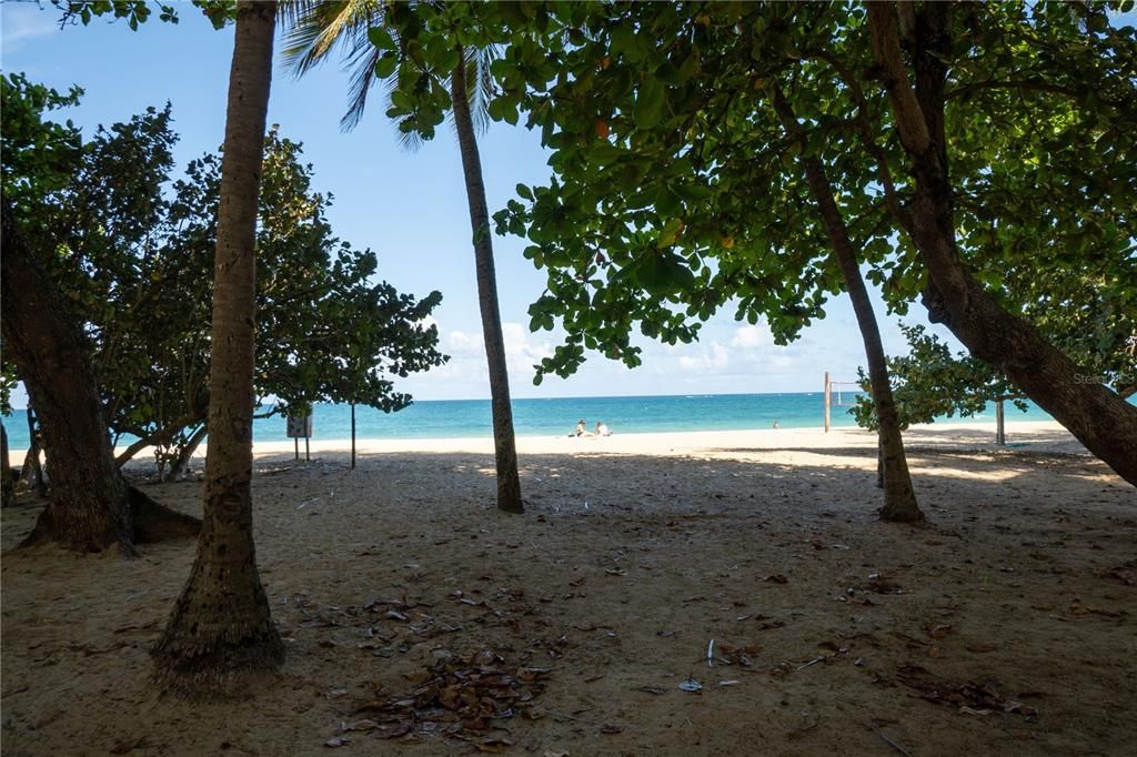 В аренду: $2,600 (2 спален, 1 ванн, 893 Квадратных фут)