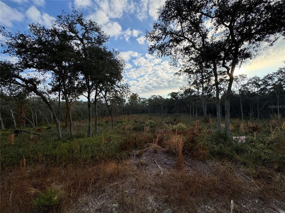 На продажу: $40,000 (1.25 acres)