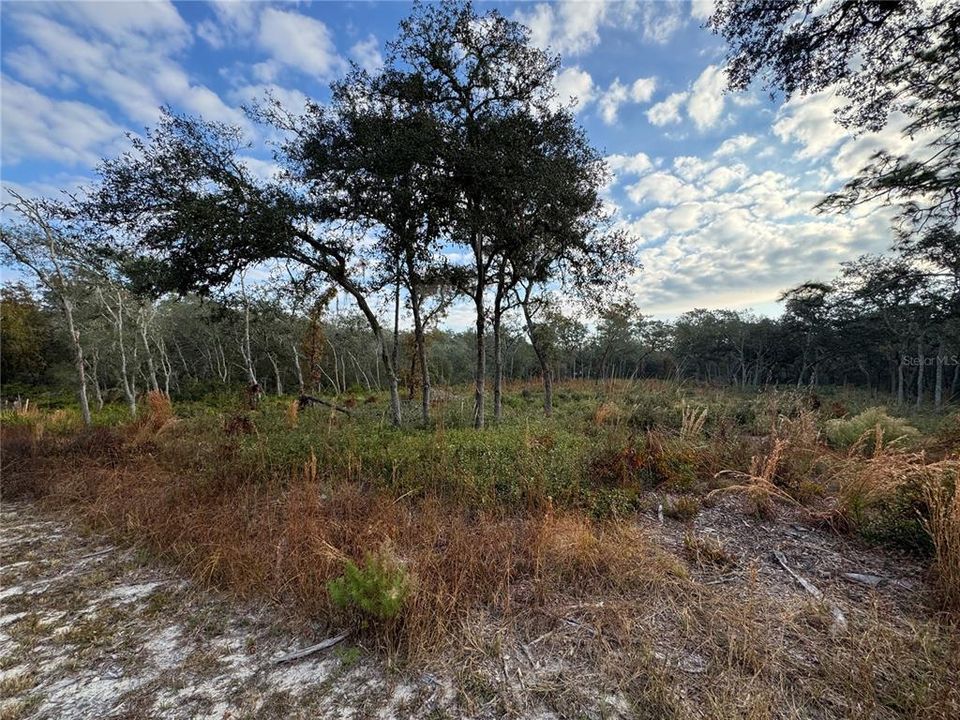 На продажу: $40,000 (1.25 acres)