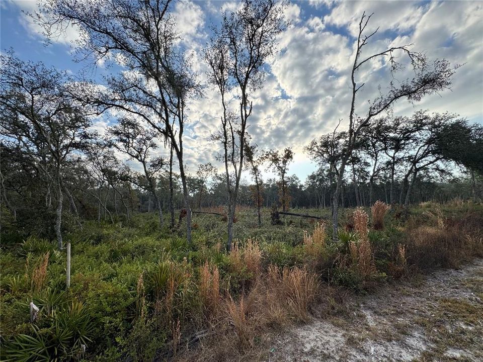 На продажу: $40,000 (1.25 acres)