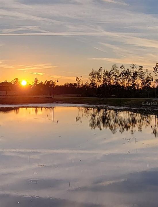 For Rent: $2,650 (5 beds, 2 baths, 2389 Square Feet)