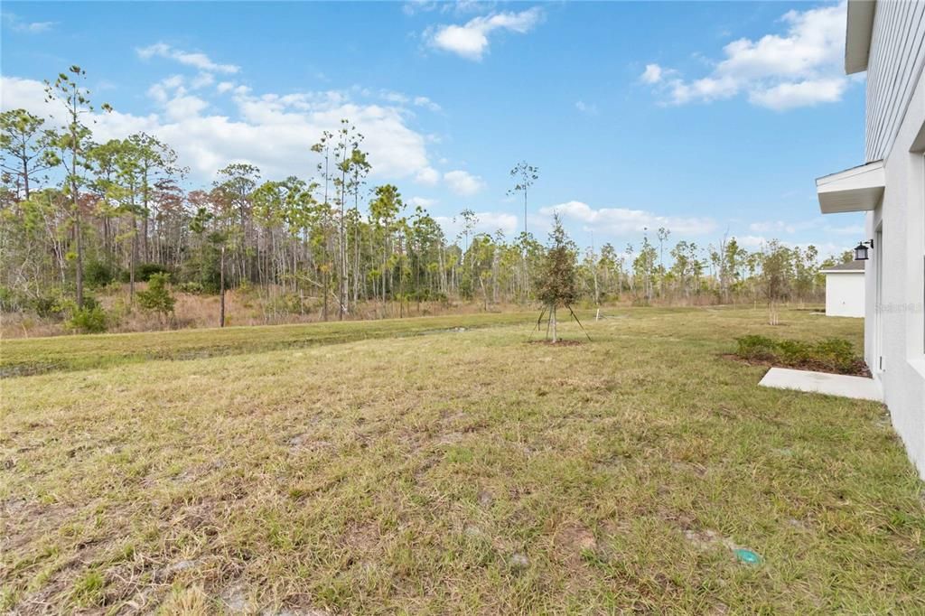 For Rent: $2,700 (5 beds, 2 baths, 2389 Square Feet)