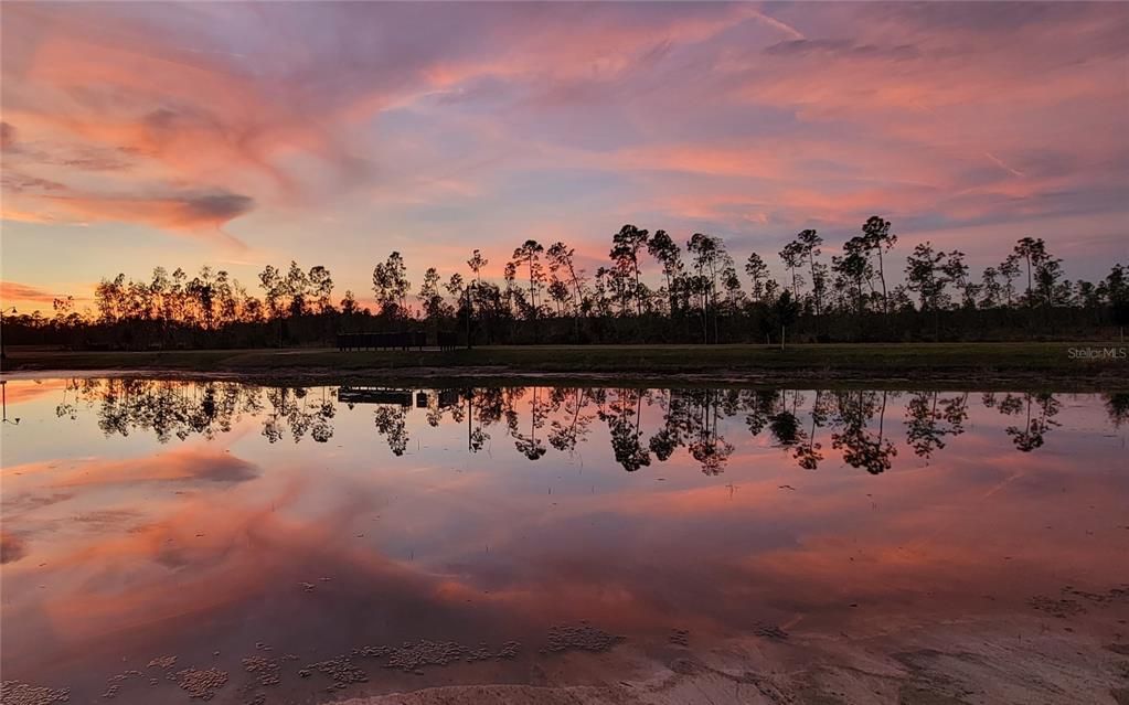 For Rent: $2,650 (5 beds, 2 baths, 2389 Square Feet)