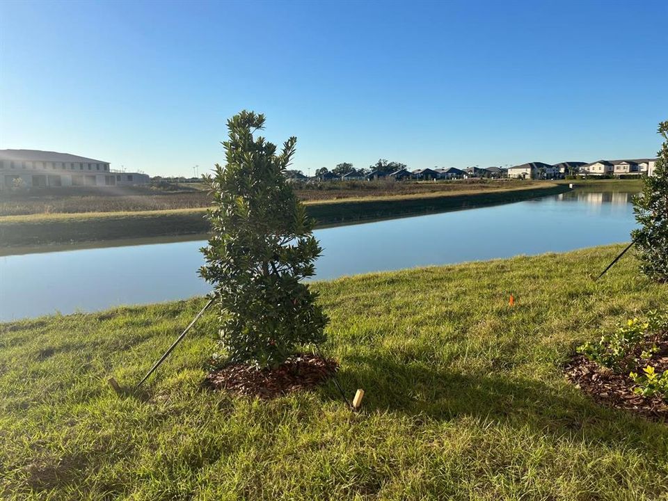 В аренду: $2,200 (3 спален, 2 ванн, 1787 Квадратных фут)