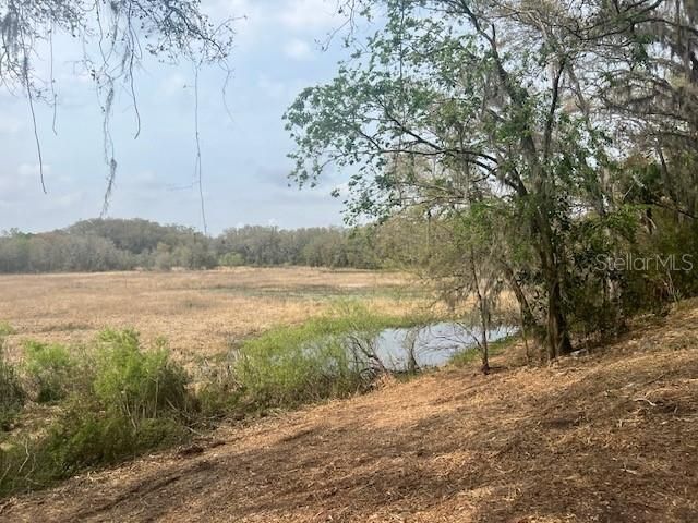 En Venta: $750,000 (32.00 acres)