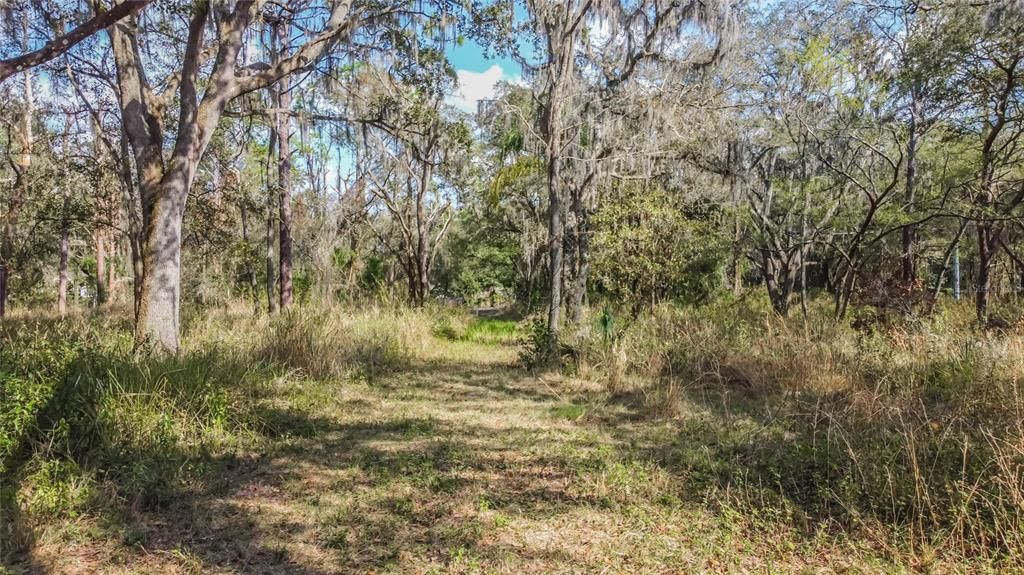 En Venta: $750,000 (32.00 acres)