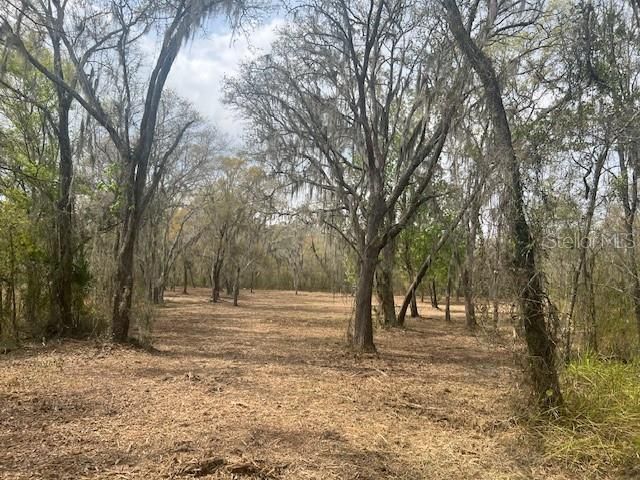En Venta: $750,000 (32.00 acres)