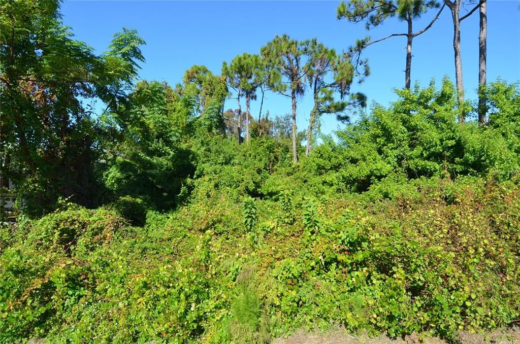 待售: $75,000 (0.18 acres)