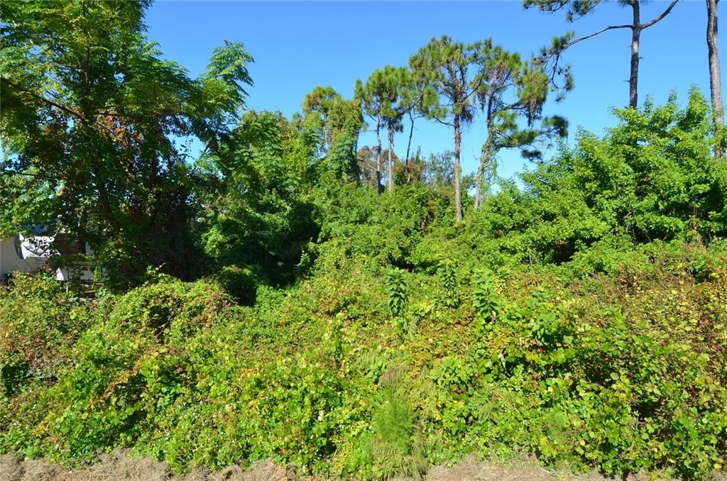 待售: $75,000 (0.18 acres)