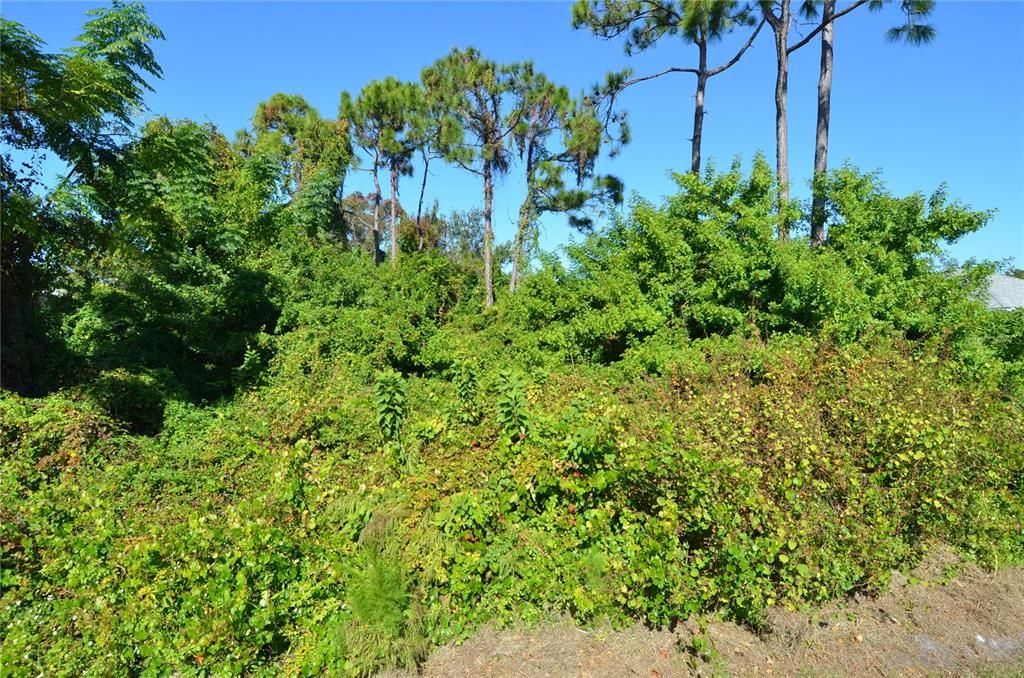 待售: $75,000 (0.18 acres)