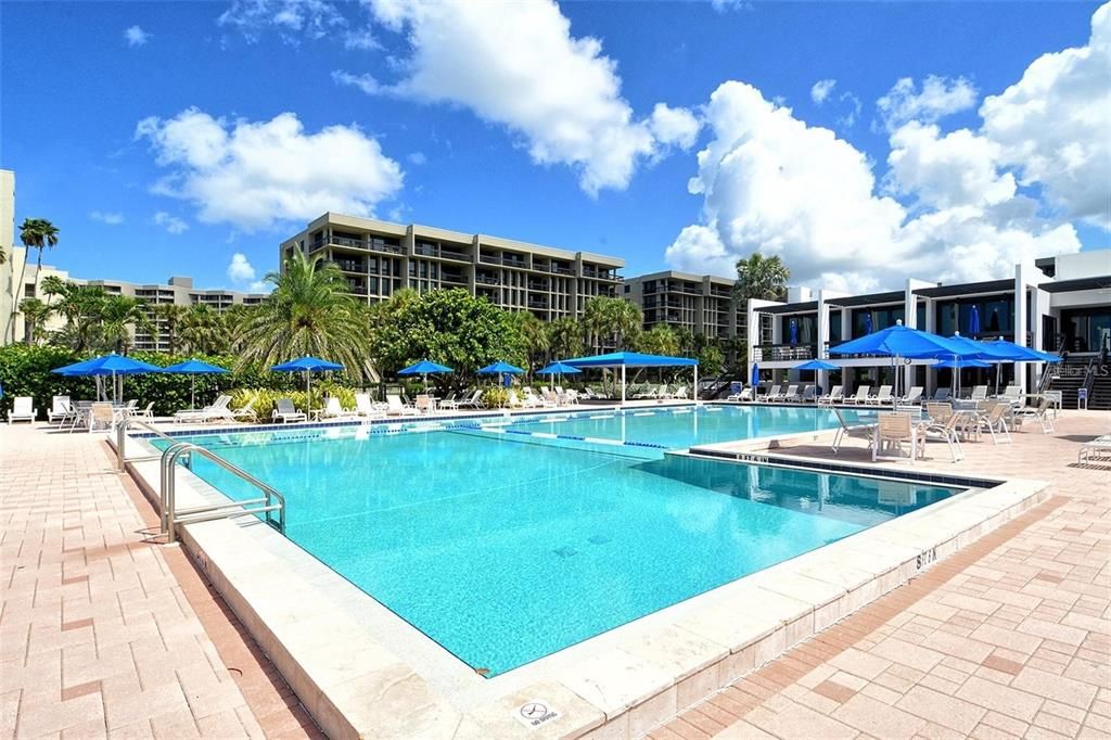 出租: $12,000 (2 贝兹, 2 浴室, 1172 平方英尺)