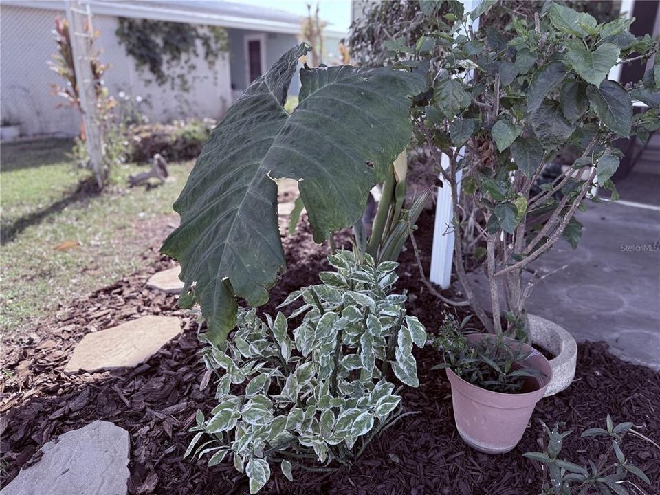 На продажу: $154,000 (2 спален, 2 ванн, 1226 Квадратных фут)