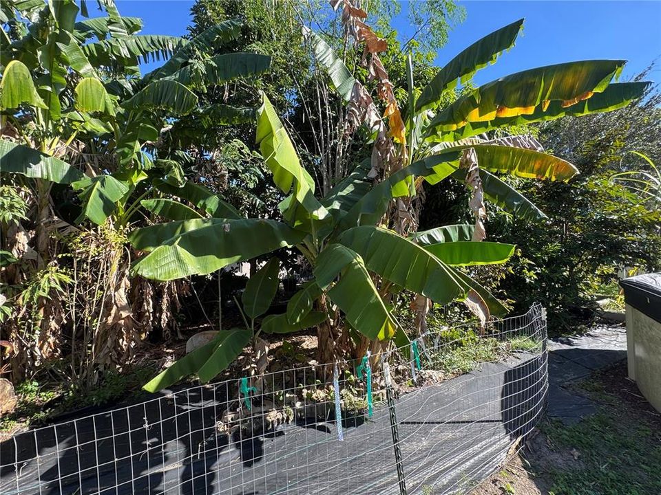 En Venta: $499,900 (4 camas, 2 baños, 2846 Pies cuadrados)