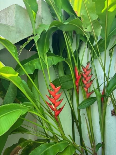 На продажу: $299,777 (5 спален, 4 ванн, 1542 Квадратных фут)