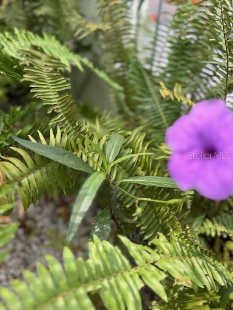 На продажу: $299,777 (5 спален, 4 ванн, 1542 Квадратных фут)