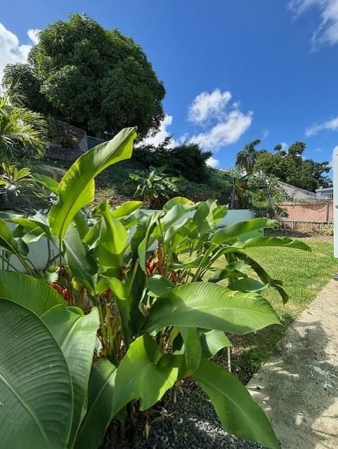 На продажу: $299,777 (5 спален, 4 ванн, 1542 Квадратных фут)