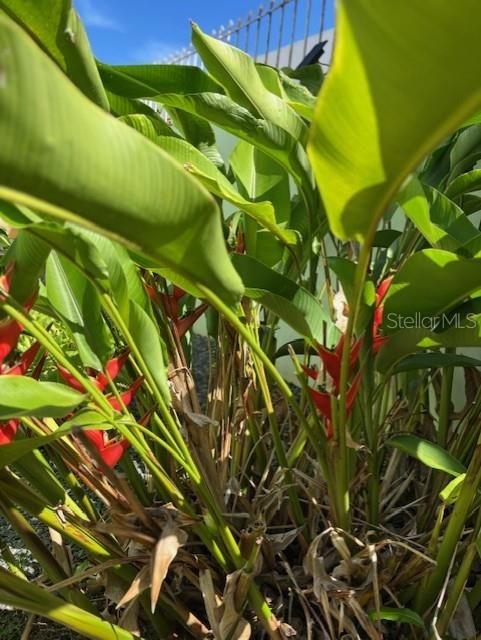 На продажу: $299,777 (5 спален, 4 ванн, 1542 Квадратных фут)