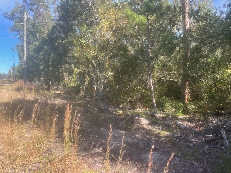 En Venta: $25,000 (0.25 acres)