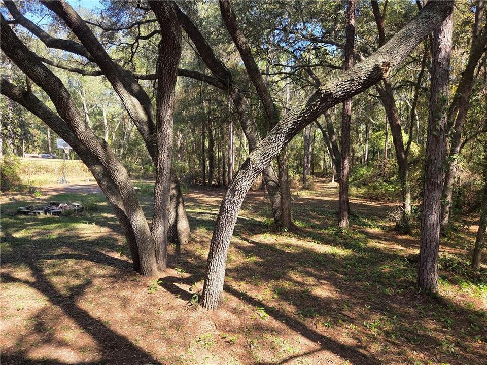 For Sale: $200,000 (5 beds, 4 baths, 1868 Square Feet)