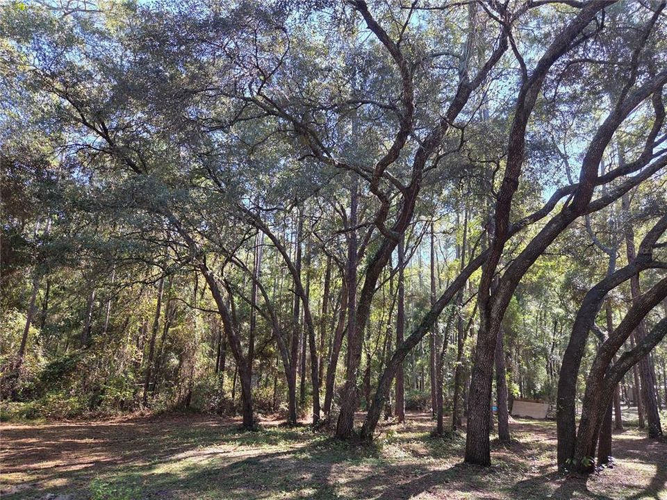 For Sale: $200,000 (5 beds, 4 baths, 1868 Square Feet)