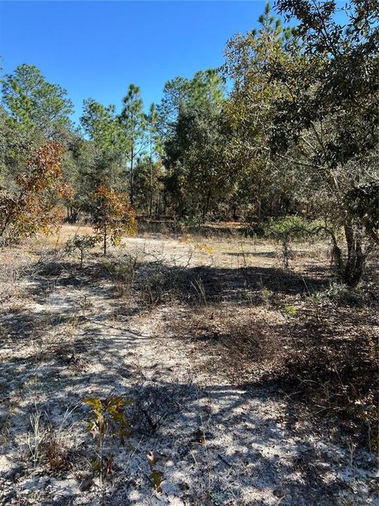 待售: $70,000 (1.37 acres)