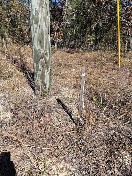 待售: $70,000 (1.37 acres)